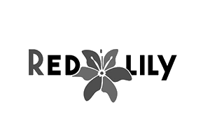 empresa-Redlily